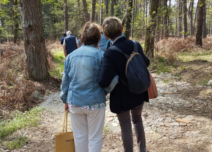 photo de personnes marchant dans la nature en train de discuter