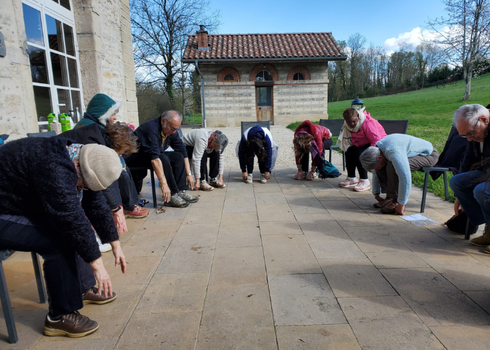 groupe de personnes faisant du yoga sur chaise